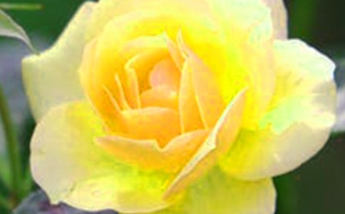 [�ϼ�]�_��ӛ����̎�Ļ���