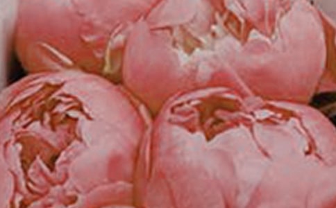 �_��ӛ����̎�Ļ�������15ƪ(ͨ��)