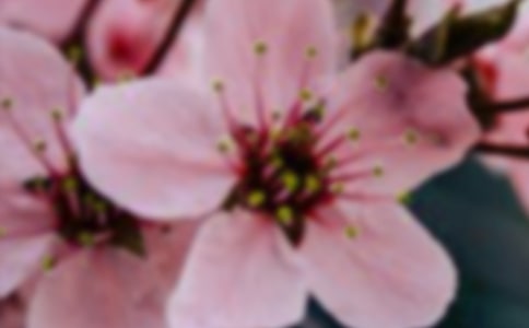 �_(k��i)��ӛ����̎�Ļ���С�W(xu��)������