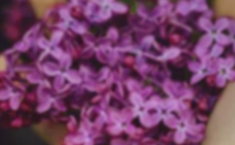 �茑������~�Z