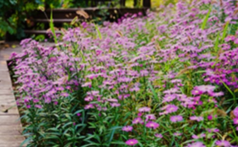 ���@�������