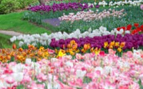 ���еĻ��@����