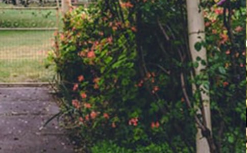 �Ҽҵ�С���@���ģ��]��