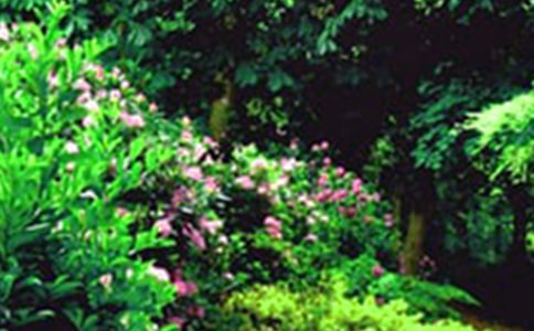 �ӻ��@����