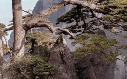 ���Sɽ��ʯ����˼����