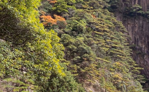 ٝ���Sɽ��Ԋ(sh��)��220��