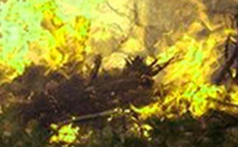 ��������������Ծȳ��R