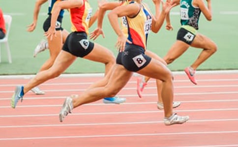 ���������͸�