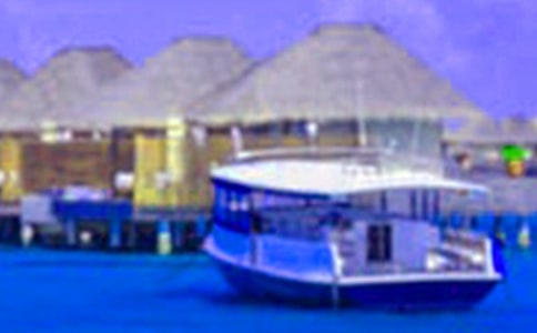 不一樣的假期作文