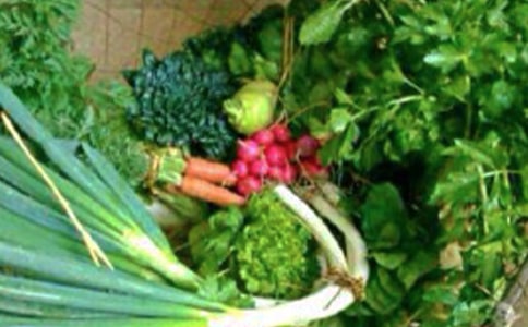 �����˽�����ˎ�v��4ԭ�t