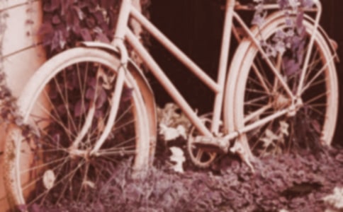 腳踏車之旅優(yōu)秀作文400字