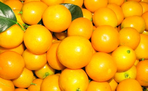 �������ܳԽ�ۆ᣿�����ڳԽ�۵�����