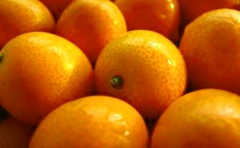 美味的金桔作文450字