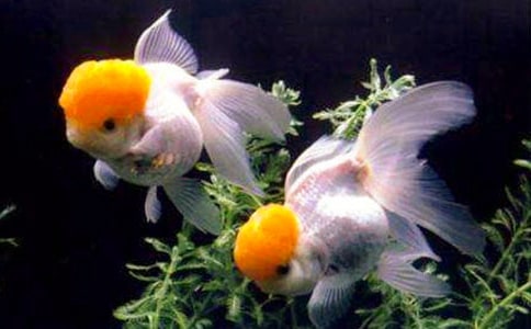 �Ҽҵ�С���~����15ƪ(��(j��ng)��)