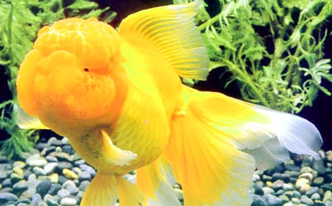 С���~���ąR��(15ƪ)