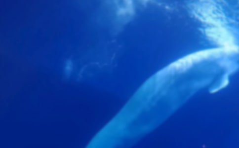 С�W(xu��)�茑(xi��)��(d��ng)�������400��_�L�~(y��)