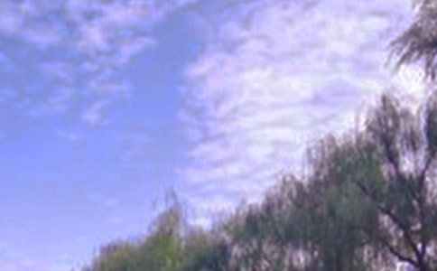 �����ľ�ɫԊ��