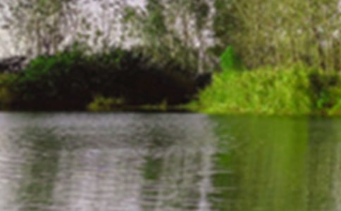 描寫景色的句子