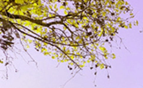 �P(gu��n)���茑��ԭ��ɫ�ľ���220��