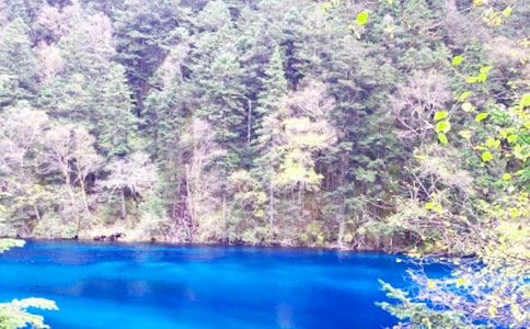 ��կ������