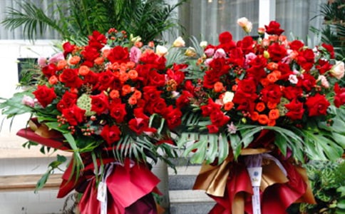 �µ��_(k��i)�����R�~�����x210�䣩