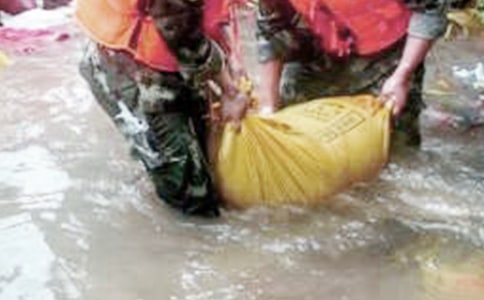 ����Ȟ�(z��i)���ĵ��w��(hu��)�����x10ƪ��