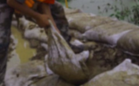 �P�ڿ���Ȟĵĸ��x��