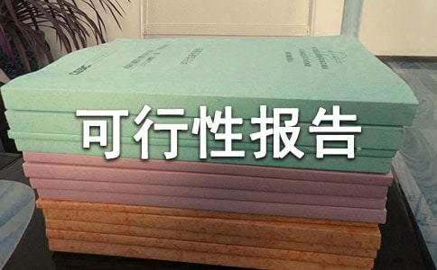 項目可行性報告范文(精選10篇)