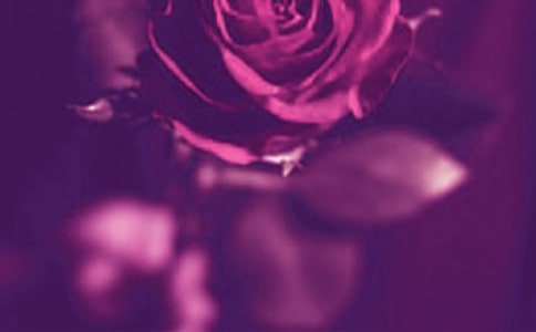 �������ľ���