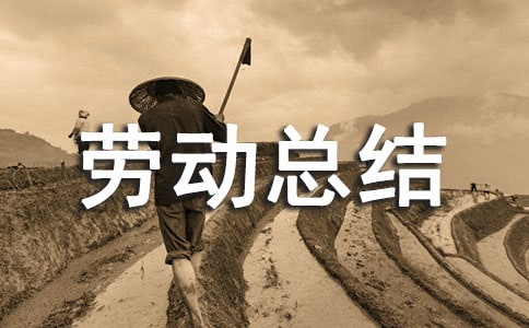 大學(xué)勞動(dòng)課勞動(dòng)總結(jié)(通用11篇)