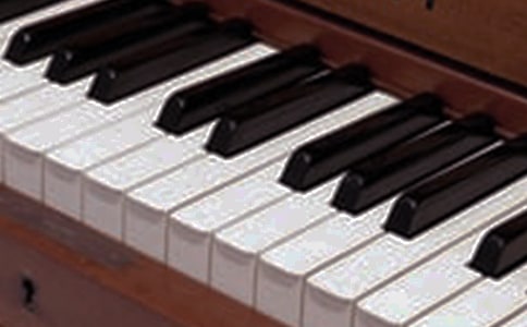 �ҵĘ�(l��)������