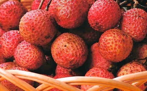 ������֦����