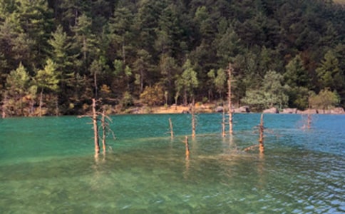 ���������ģ����x15ƪ��