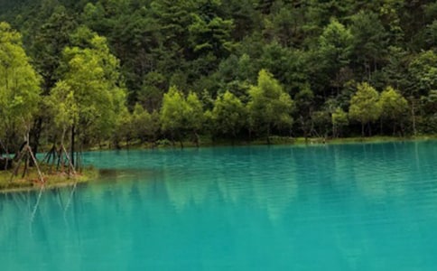 �����ų�֮������