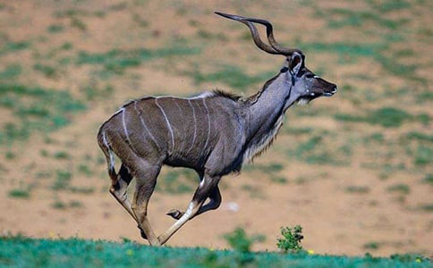 ������ľ���n����