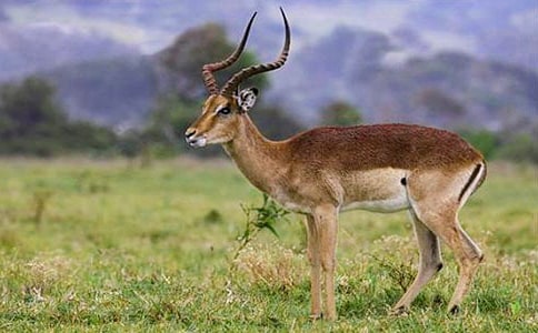 ������ľ���m(x��)��