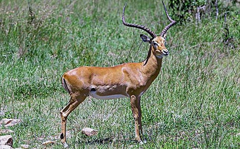 ������ľ����x��