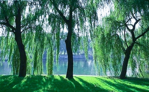 С��������