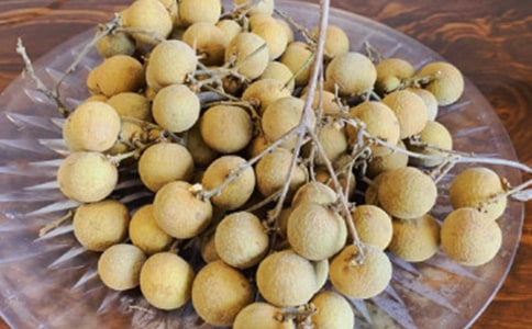 我愛家鄉(xiāng)的龍眼作文匯總【15篇】