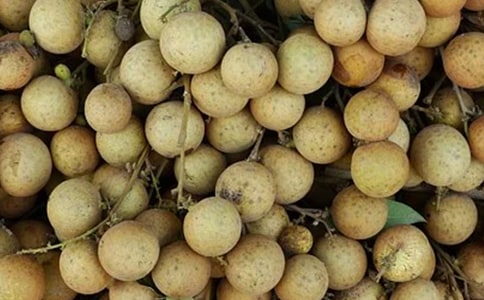 寫龍眼_作文450字