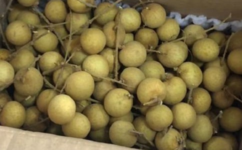 ժ��������