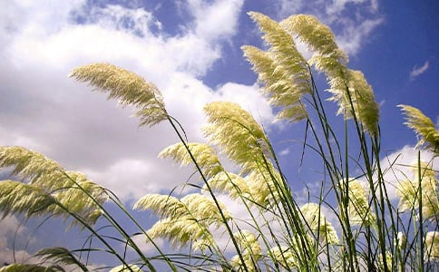 ��һ�����Ե��JȔ����