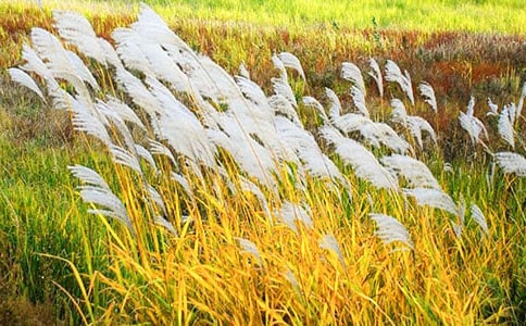 �茑�JȔ���ľ���70��