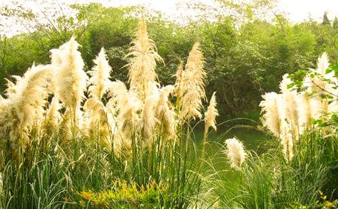 ��Ҋ�JȔ������