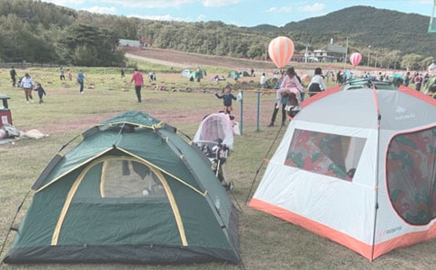 �P(gu��n)��¶�I���ĺϼ�10ƪ