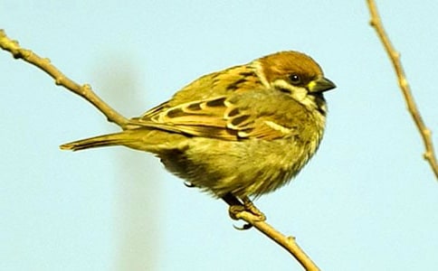 С��ȸ���ġ����]��