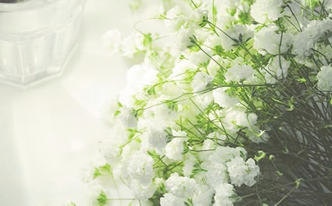 ���Ͽ����M���ǃ�ͯ�@����