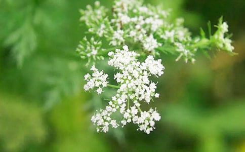 �M����������