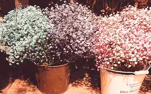 �M��������[�R��15ƪ]