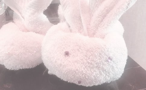 �����xʲô���|(zh��)��ë��